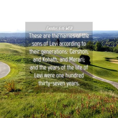 Picture 04 - Exodus 6:16 WEB - These are the names of the sons of Levi according - Bible Verse Picture