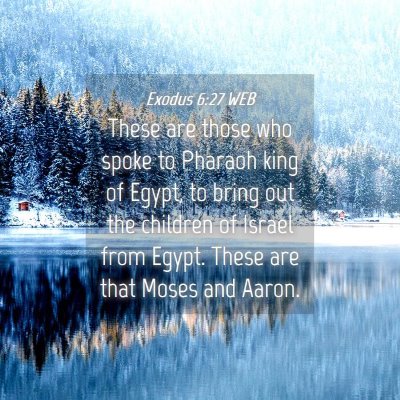 Picture 04 - Exodus 6:27 WEB - These are those who spoke to Pharaoh king of - Bible Verse Picture