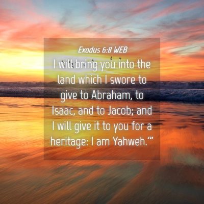 Picture 04 - Exodus 6:8 WEB - I will bring you into the land which I swore to - Bible Verse Picture