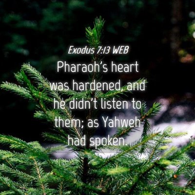 Picture 04 - Exodus 7:13 WEB - Pharaoh's heart was hardened, and he didn't - Bible Verse Picture