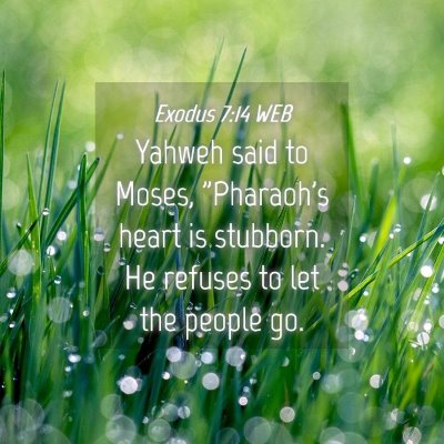 Picture 04 - Exodus 7:14 WEB - Yahweh said to Moses, 