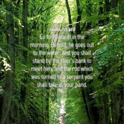 Picture 04 - Exodus 7:15 WEB - Go to Pharaoh in the morning. Behold, he goes out - Bible Verse Picture