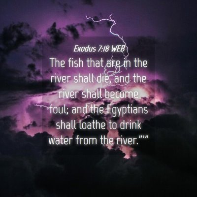 Picture 04 - Exodus 7:18 WEB - The fish that are in the river shall die, and the - Bible Verse Picture