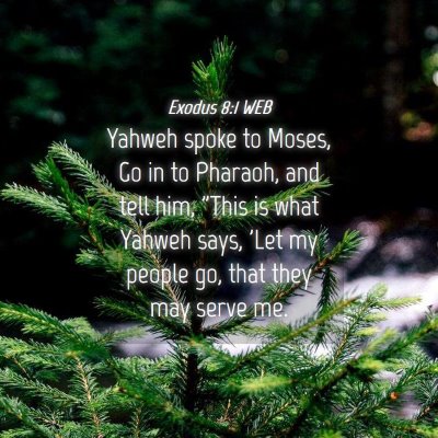 Picture 04 - Exodus 8:1 WEB - Yahweh spoke to Moses, Go in to Pharaoh, and tell - Bible Verse Picture