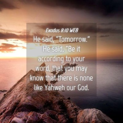 Picture 04 - Exodus 8:10 WEB - He said, 