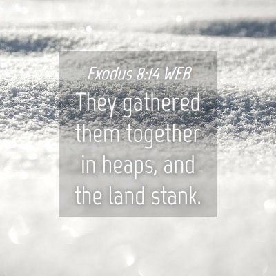 Picture 04 - Exodus 8:14 WEB - They gathered them together in heaps, and the - Bible Verse Picture