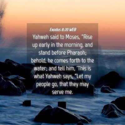 Picture 04 - Exodus 8:20 WEB - Yahweh said to Moses, 