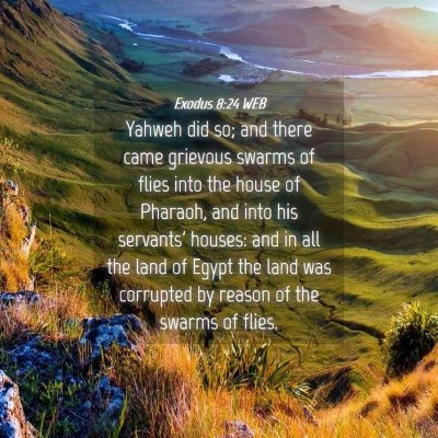 Picture 04 - Exodus 8:24 WEB - Yahweh did so; and there came grievous swarms of - Bible Verse Picture