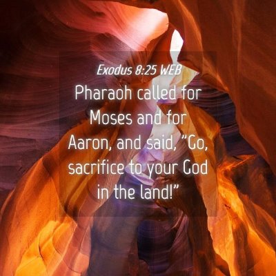 Picture 04 - Exodus 8:25 WEB - Pharaoh called for Moses and for Aaron, and said, - Bible Verse Picture