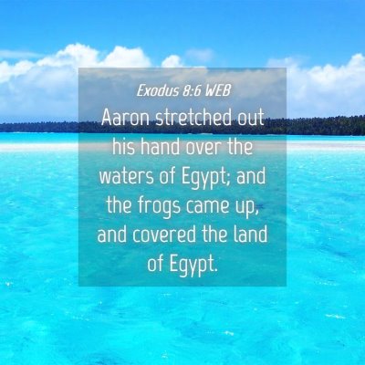 Picture 04 - Exodus 8:6 WEB - Aaron stretched out his hand over the waters of - Bible Verse Picture