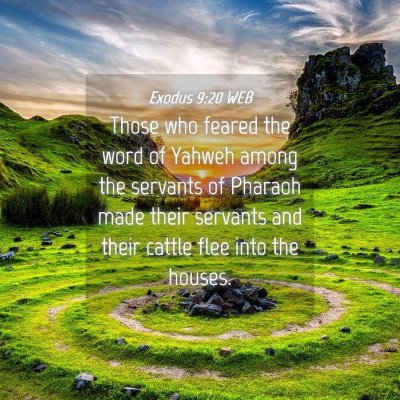 Picture 04 - Exodus 9:20 WEB - Those who feared the word of Yahweh among the - Bible Verse Picture