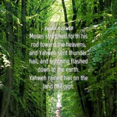 Picture 04 - Exodus 9:23 WEB - Moses stretched forth his rod toward the heavens, - Bible Verse Picture