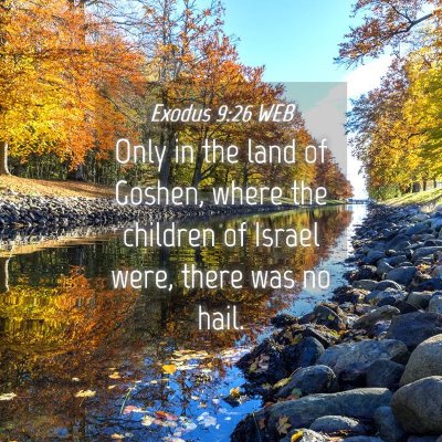 Picture 04 - Exodus 9:26 WEB - Only in the land of Goshen, where the children of - Bible Verse Picture