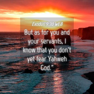 Picture 04 - Exodus 9:30 WEB - But as for you and your servants, I know that you - Bible Verse Picture
