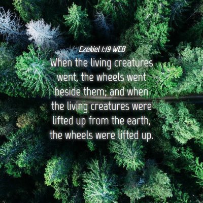 Picture 04 - Ezekiel 1:19 WEB - When the living creatures went, the wheels went - Bible Verse Picture