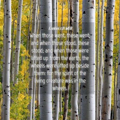 Picture 04 - Ezekiel 1:21 WEB - When those went, these went; and when those - Bible Verse Picture