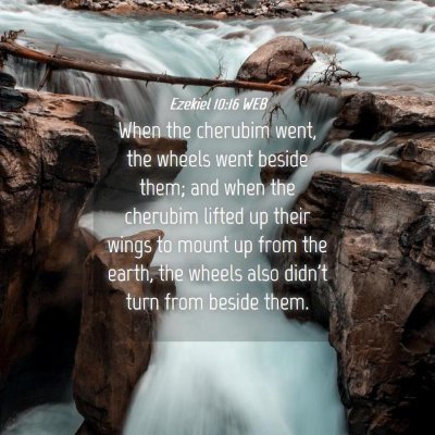 Picture 04 - Ezekiel 10:16 WEB - When the cherubim went, the wheels went beside - Bible Verse Picture