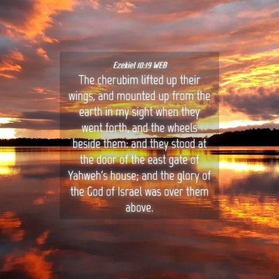 Picture 04 - Ezekiel 10:19 WEB - The cherubim lifted up their wings, and mounted - Bible Verse Picture