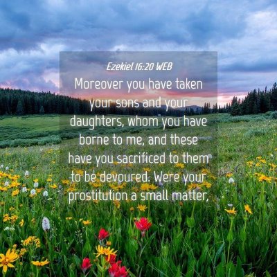Picture 04 - Ezekiel 16:20 WEB - Moreover you have taken your sons and your - Bible Verse Picture