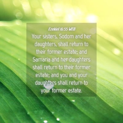 Picture 04 - Ezekiel 16:55 WEB - Your sisters, Sodom and her daughters, shall - Bible Verse Picture