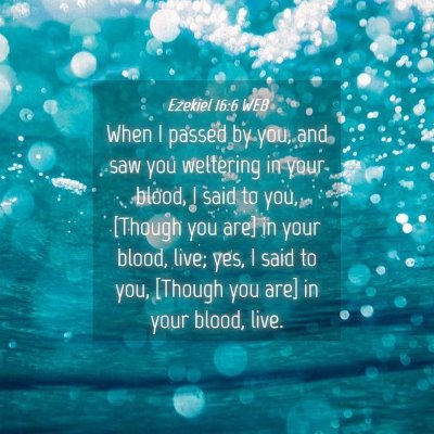 Picture 04 - Ezekiel 16:6 WEB - When I passed by you, and saw you weltering in - Bible Verse Picture