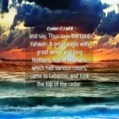 Picture 04 - Ezekiel 17:3 WEB - and say, Thus says the Lord Yahweh: A great eagle - Bible Verse Picture