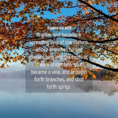 Picture 04 - Ezekiel 17:6 WEB - It grew, and became a spreading vine of low - Bible Verse Picture