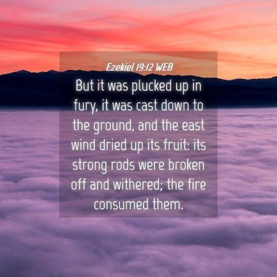 Picture 04 - Ezekiel 19:12 WEB - But it was plucked up in fury, it was cast down - Bible Verse Picture