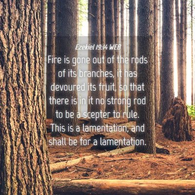 Picture 04 - Ezekiel 19:14 WEB - Fire is gone out of the rods of its branches, it - Bible Verse Picture