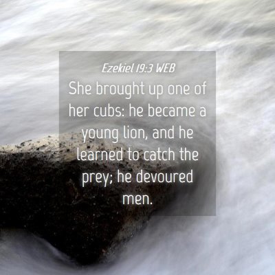 Picture 04 - Ezekiel 19:3 WEB - She brought up one of her cubs: he became a young - Bible Verse Picture