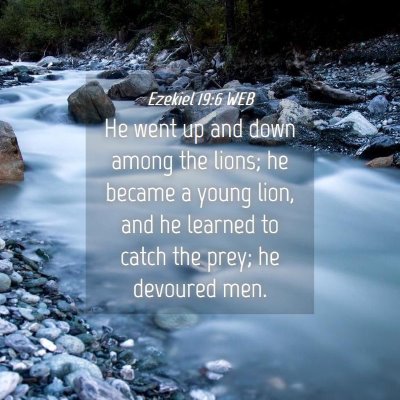 Picture 04 - Ezekiel 19:6 WEB - He went up and down among the lions; he became a - Bible Verse Picture