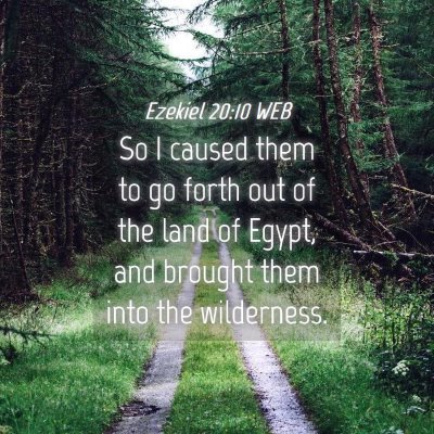 Picture 04 - Ezekiel 20:10 WEB - So I caused them to go forth out of the land of - Bible Verse Picture