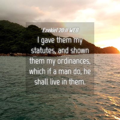 Picture 04 - Ezekiel 20:11 WEB - I gave them my statutes, and shown them my - Bible Verse Picture