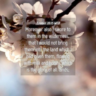Picture 04 - Ezekiel 20:15 WEB - Moreover also I swore to them in the wilderness, - Bible Verse Picture