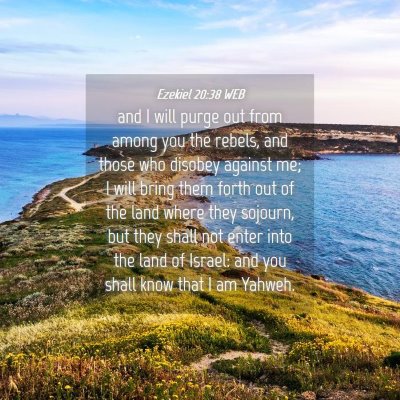 Picture 04 - Ezekiel 20:38 WEB - and I will purge out from among you the rebels, - Bible Verse Picture