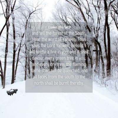 Picture 04 - Ezekiel 20:47 WEB - and tell the forest of the South, Hear the word - Bible Verse Picture