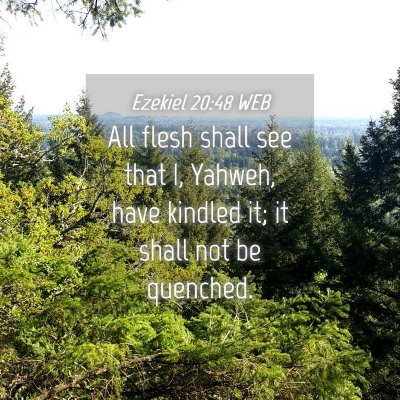 Picture 04 - Ezekiel 20:48 WEB - All flesh shall see that I, Yahweh, have kindled - Bible Verse Picture