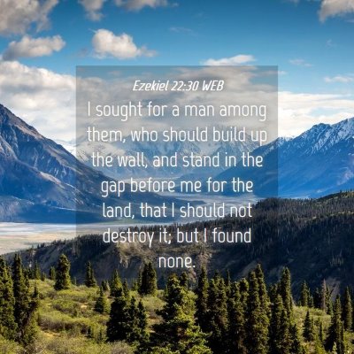 Picture 04 - Ezekiel 22:30 WEB - I sought for a man among them, who should build - Bible Verse Picture