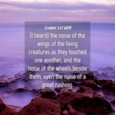 Picture 04 - Ezekiel 3:13 WEB - [I heard] the noise of the wings of the living - Bible Verse Picture