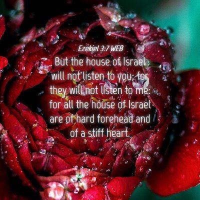 Picture 04 - Ezekiel 3:7 WEB - But the house of Israel will not listen to you; - Bible Verse Picture