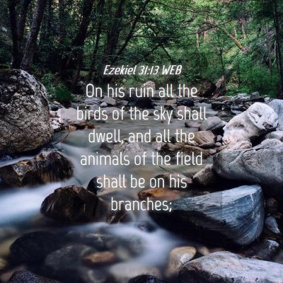 Picture 04 - Ezekiel 31:13 WEB - On his ruin all the birds of the sky shall dwell, - Bible Verse Picture