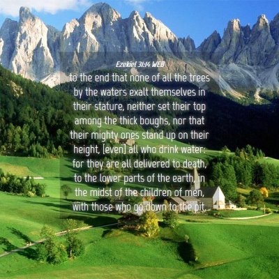 Picture 04 - Ezekiel 31:14 WEB - to the end that none of all the trees by the - Bible Verse Picture