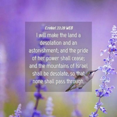 Picture 04 - Ezekiel 33:28 WEB - I will make the land a desolation and an - Bible Verse Picture