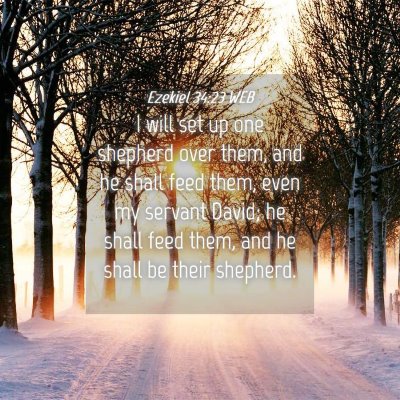 Picture 04 - Ezekiel 34:23 WEB - I will set up one shepherd over them, and he - Bible Verse Picture