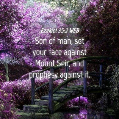 Picture 04 - Ezekiel 35:2 WEB - Son of man, set your face against Mount Seir, and - Bible Verse Picture
