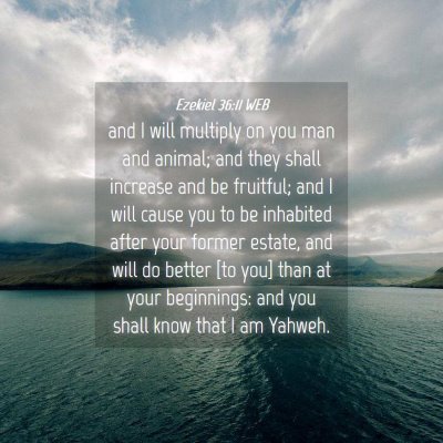 Picture 04 - Ezekiel 36:11 WEB - and I will multiply on you man and animal; and - Bible Verse Picture