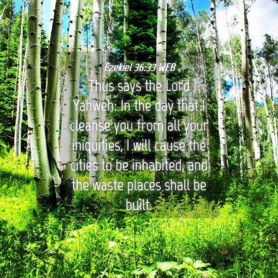 Picture 04 - Ezekiel 36:33 WEB - Thus says the Lord Yahweh: In the day that I - Bible Verse Picture
