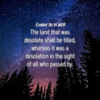 Picture 04 - Ezekiel 36:34 WEB - The land that was desolate shall be tilled, - Bible Verse Picture