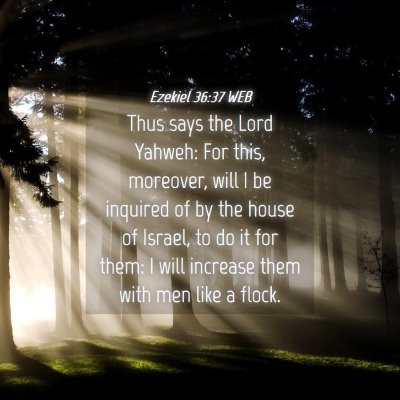 Picture 04 - Ezekiel 36:37 WEB - Thus says the Lord Yahweh: For this, moreover, - Bible Verse Picture