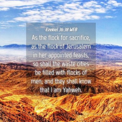Picture 04 - Ezekiel 36:38 WEB - As the flock for sacrifice, as the flock of - Bible Verse Picture